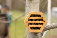 Orchard_9